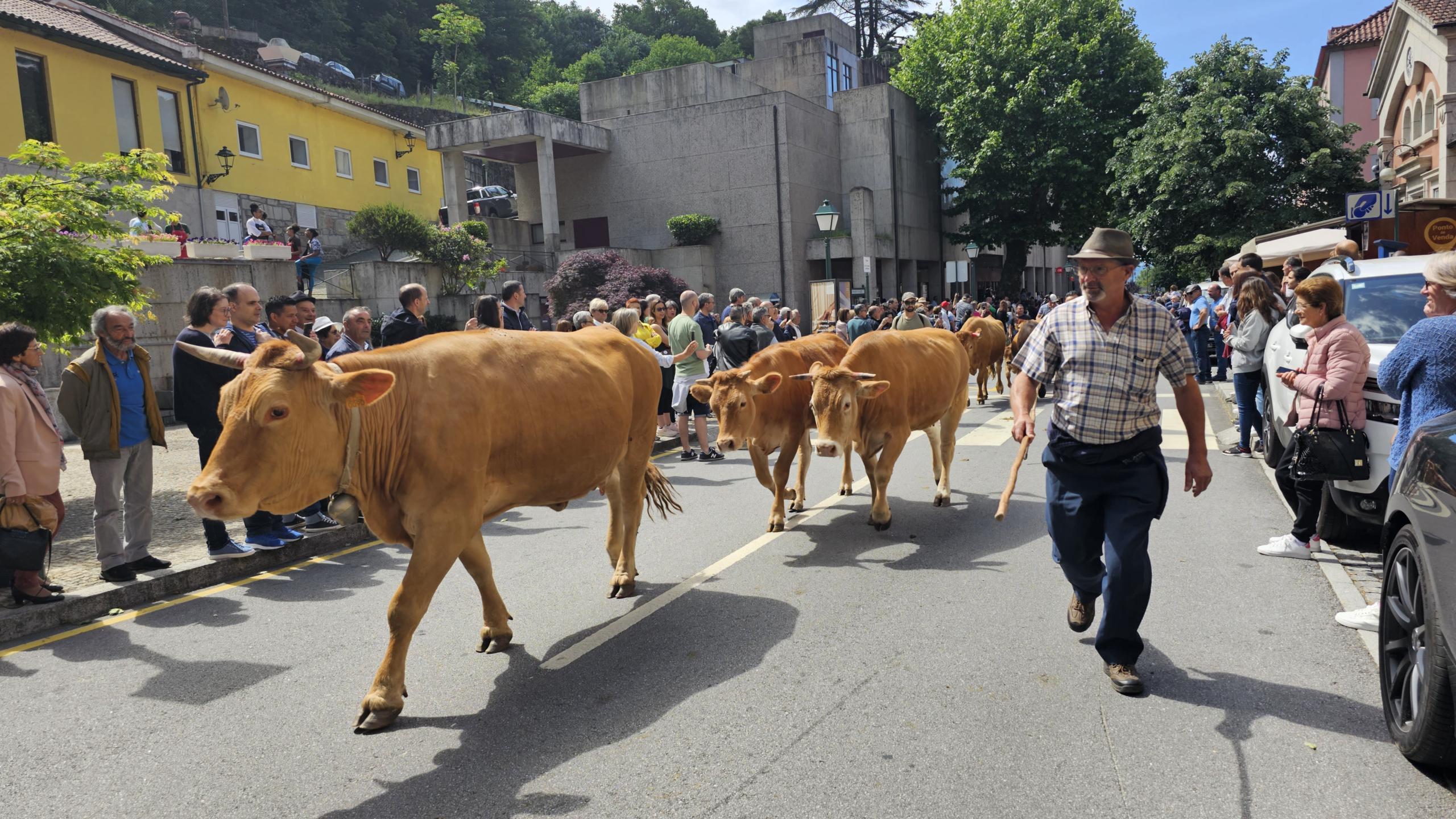 Vezeira de Vilar da Veiga inscrita no Inventário Nacional do Património Cultural