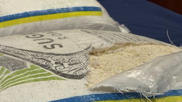 PJ de Braga apreende uma tonelada de cocaína que entrou em Portugal por via marítima