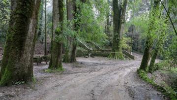 JMJ: Centenas de jovens de várias nacionalidades vão percorrer Via Sacra do Bussaco
