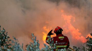 Mais de 20 concelhos de cinco distritos em perigo máximo de incêndio