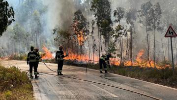 Vinte e quatro concelhos de cinco distritos em perigo máximo de incêndio