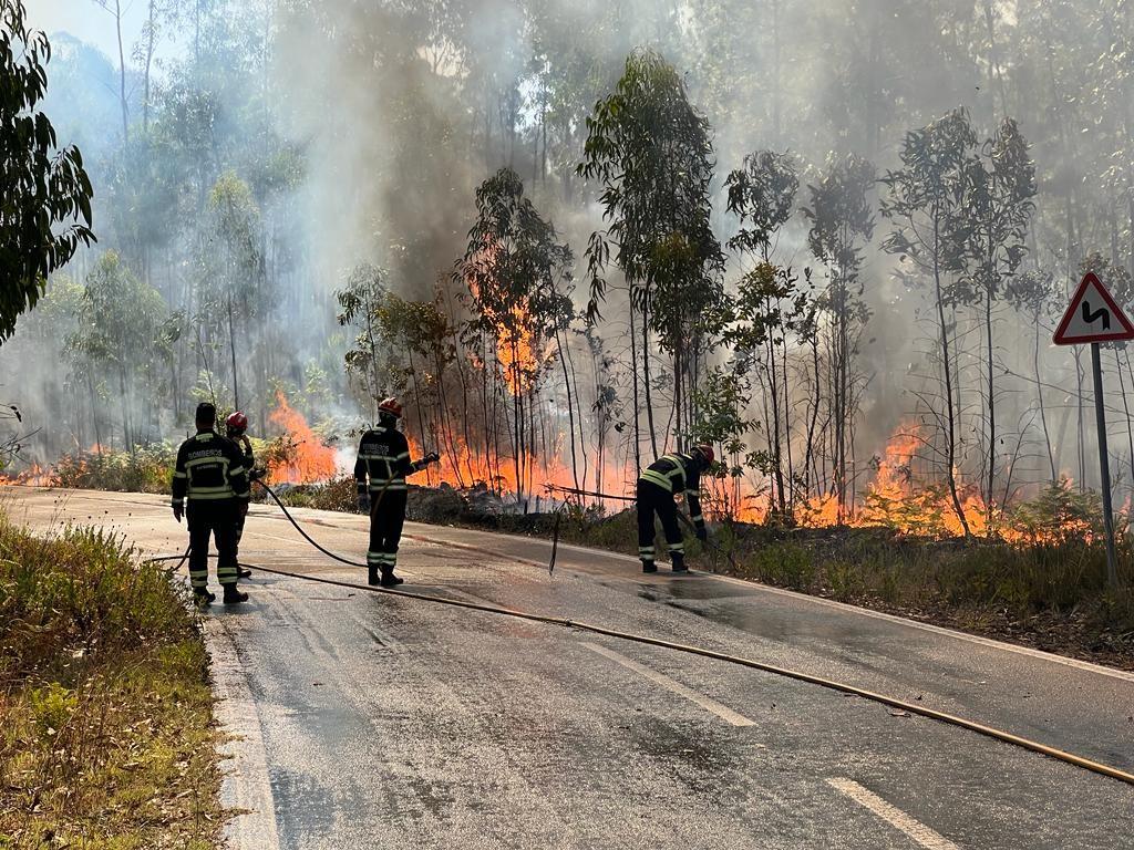 Mais de 50 concelhos de nove distritos em perigo máximo de incêndio