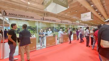 Vinhos Verdes à conquista de mercado em grande feira nacional em Lisboa
