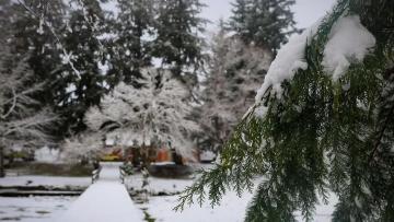 Braga e Viana do Castelo sob aviso por queda de neve até sábado