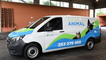 Altino Bessa garante prontidão de Braga no resgate animal