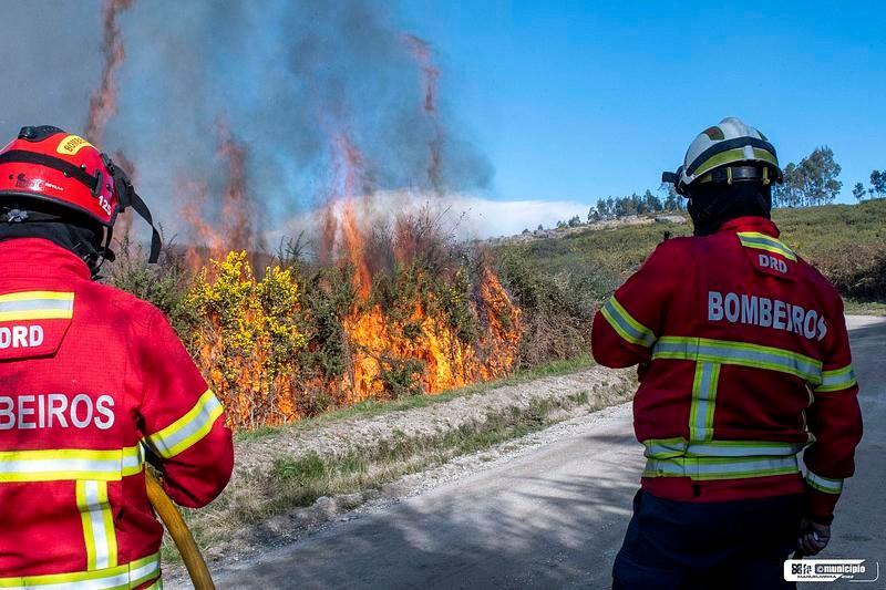 Fafe cria atendimento para agricultores com prejuízos nos incêndios de setembro