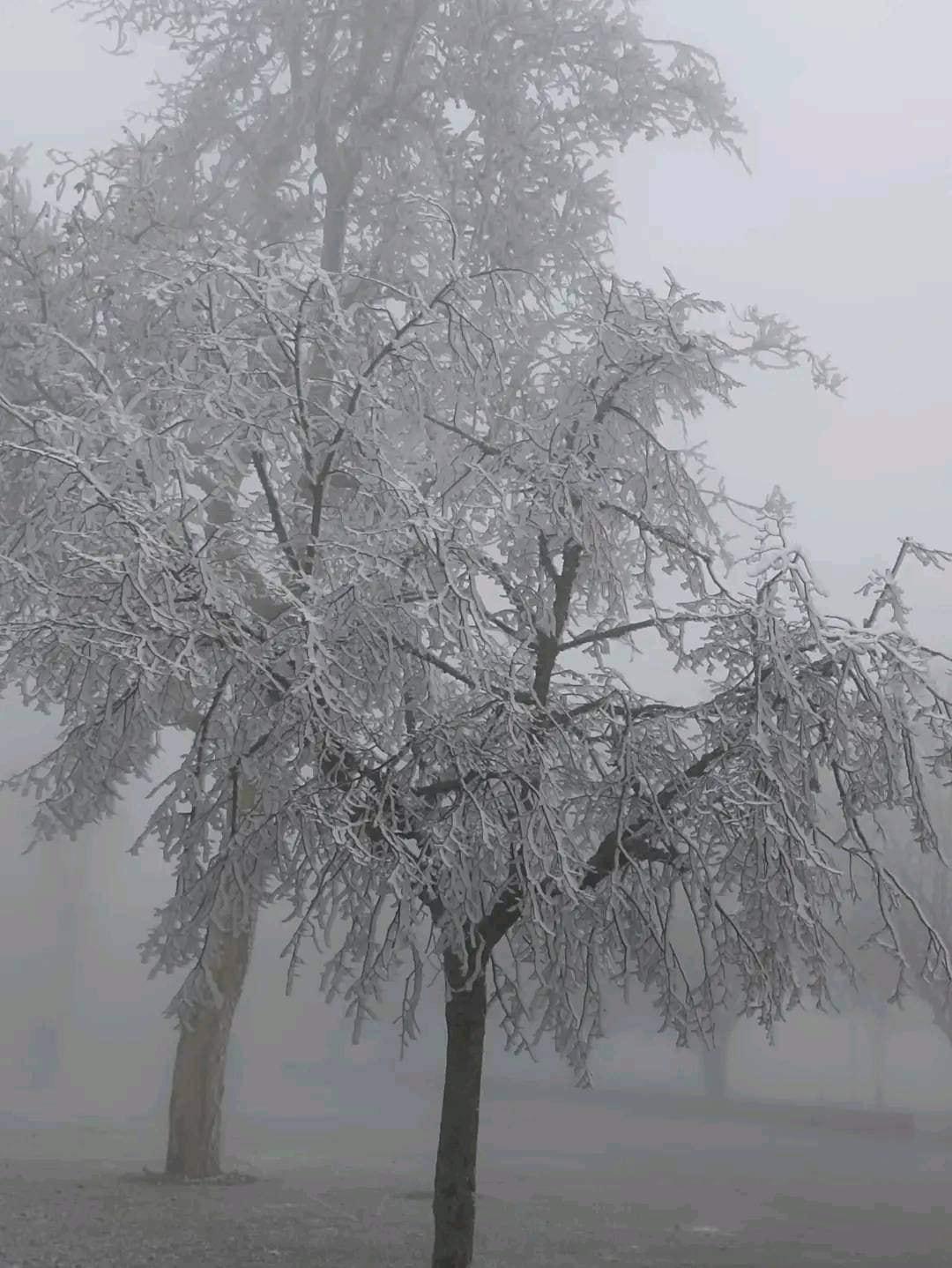 Frio já pinta Norte de Portugal de branco