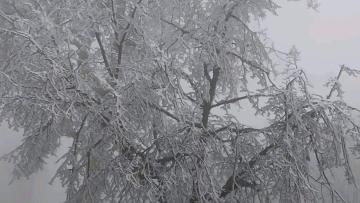 Frio já pinta Norte de Portugal de branco