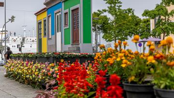 Esculturas floridas embelezam Viana do Castelo a partir de quinta-feira