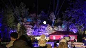 Mais de 80 mil pessoas visitaram a Floresta Encantada da Porta do Mezio