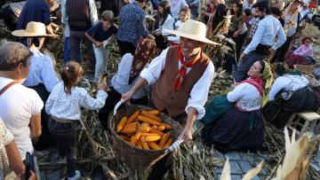 Feira Grande de S. Miguel traz tradição agrícola a Famalicão
