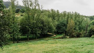 Guimarães – Capital Verde Europeia 2026 arranca amanhã