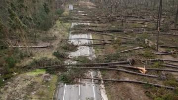 Proteção civil registou 192 ocorrências entre as 00:00 e as 08:00