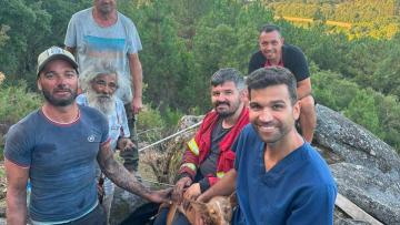 Bombeiros de Esposende salvam dois cães em operações de risco