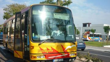 Governo promete articular com as transportadoras passes gratuitos até aos 23 anos