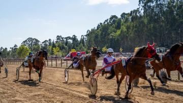 Corrida de Cavalos a Galope e Trote Atrelado levou milhares de aficionados a Celorico de Basto