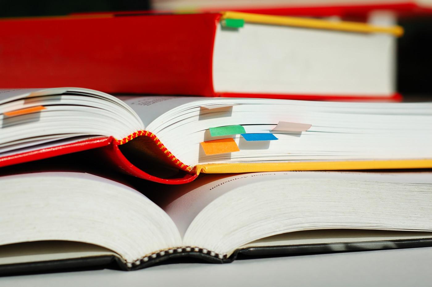 Câmara de Guimarães abre candidatura para bolsas a estudantes do superior