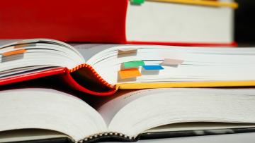 Câmara de Guimarães abre candidatura para bolsas a estudantes do superior