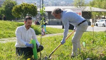 Município planta 65 árvores na UMinho reforçando sustentabilidade no campus