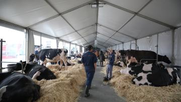 Especialistas debatem na AGRO desafios e soluções para a agricultura