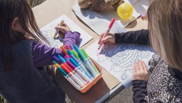 Praga de pulgas fecha Escola Básica de Ribeirão em Famalicão