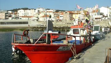 Caminha embarga instalação de torre de telecomunicações para "aferir legalidade"