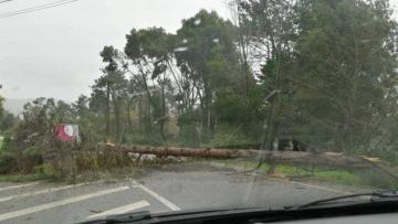 Mau tempo deu origem a quase 300 ocorrências entre as 14h00 e as 7h00