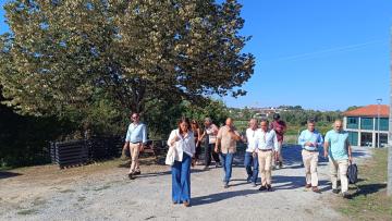 Município de Braga já plantou quase 60 mil árvores desde 2014