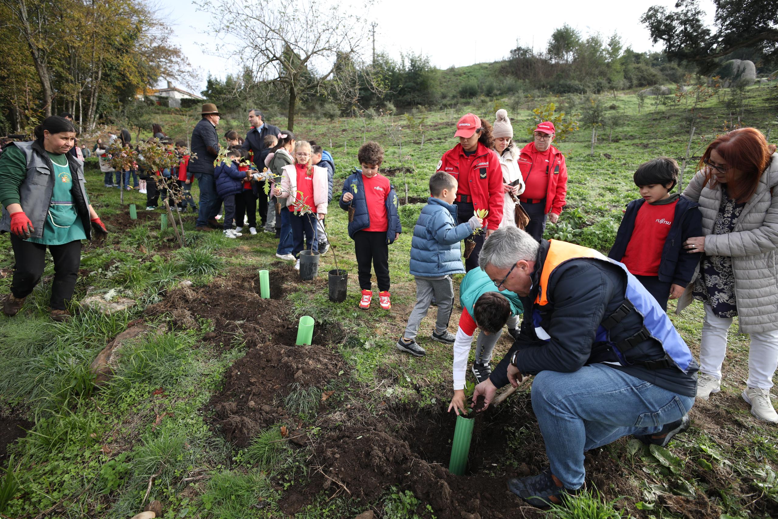Generosidade permite plantar mais 200 árvores no Bom Jesus
