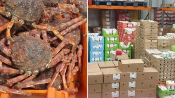 Mais de 17 toneladas de produtos ilegais apreendidas em Fafe, Guimarães e Póvoa de Varzim