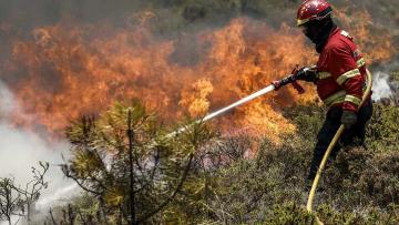 Cerca de 60 concelhos em perigo máximo de Incêndio