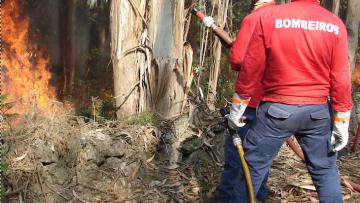Incêndio em Ponte de Lima mobiliza 138 operacionais e 45 meios terrestres