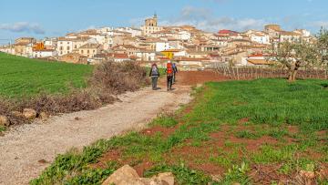 5 factos que provam que os Caminhos de Santiago já são um dos maiores símbolos culturais do Minho