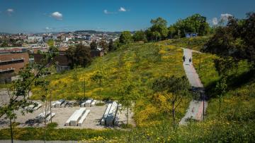 Câmara de Braga e UMinho colaboram na inventariação da biodiversidade do Parque das Camélias