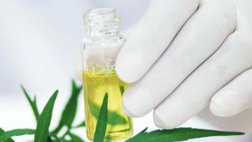 Aprovação de medicamentos à base de canábis vai permitir chegar a mais doentes