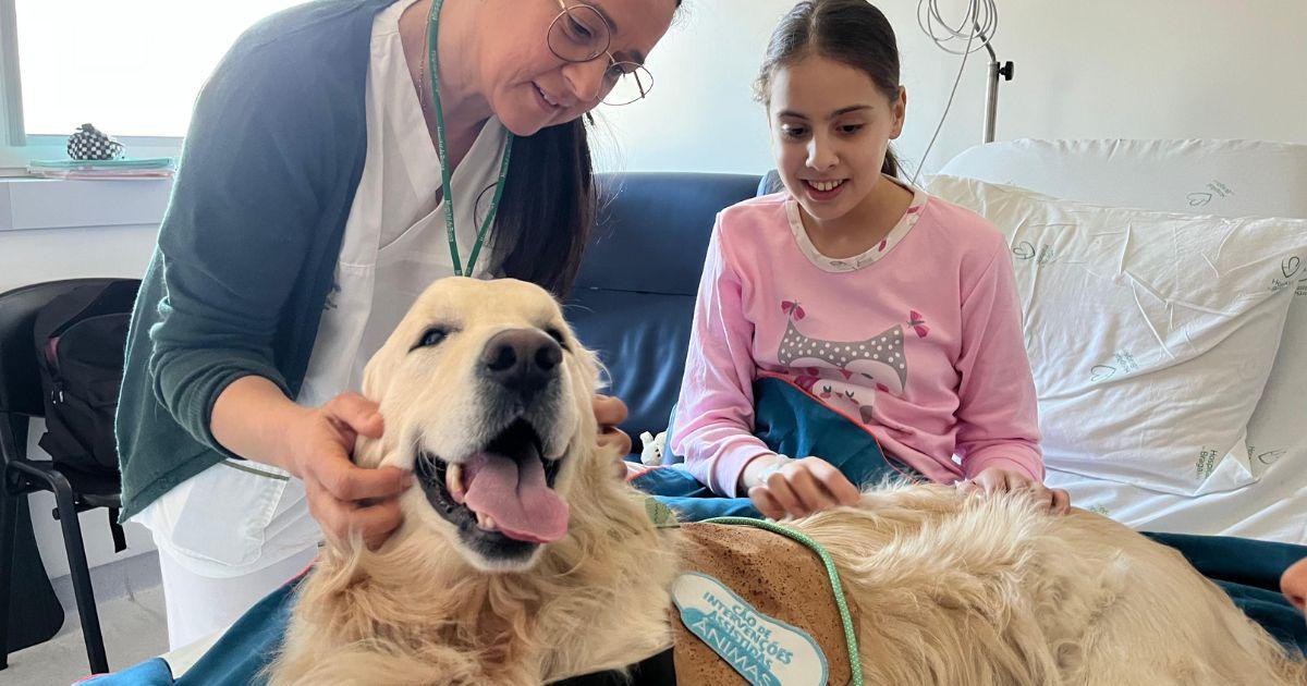 Cão Léo leva alegria e carinho às crianças da ULS de Braga