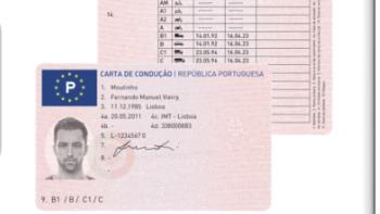 Renovação automatizada da Carta de Condução está disponível a partir de hoje