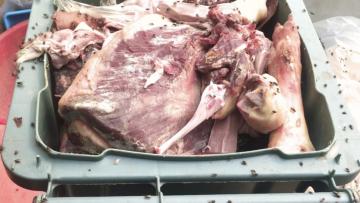 ASAE apreende 410 quilos de carne imprópria para consumo num talho em Barcelos