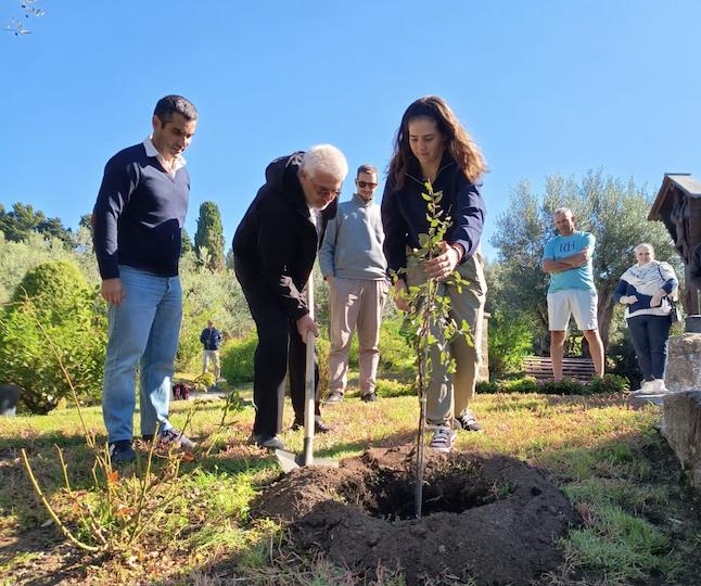 Jovens católicos vão plantar 20025 árvores no âmbito de projeto ecológico motivado pela COP30