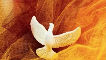 Vigília de Pentecostes em Braga congrega movimentos, obras e associações laicais