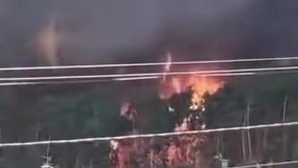 Incêndio de grandes proporções ameaça habitações em Famalicão