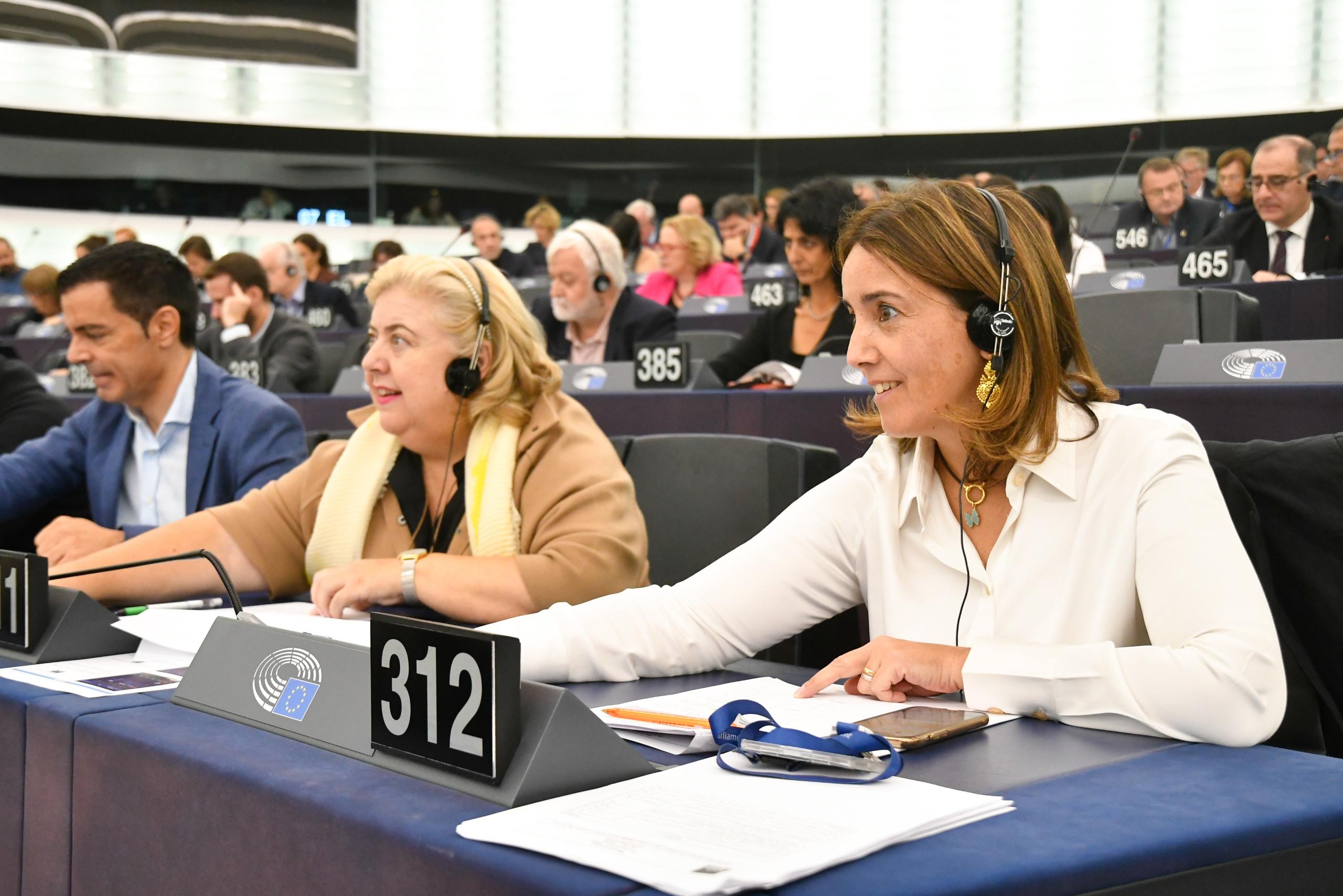 Parlamento Europeu aprova resolução que aumenta apoios aos jovens agricultores