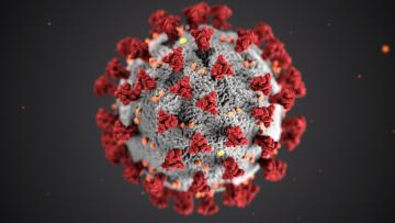 Covid-19: Redução de mortes mantém-se, mas permanece incerteza sobre o vírus