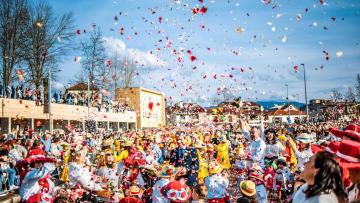 Celorico de Basto celebra Festa Internacional das Camélias