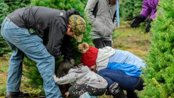 Braga Ciclável promove plantação de árvores na freguesia de Este