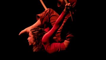 Portugal pode ambicionar ganhar um museu do circo em 2035