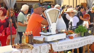 Estão abertas as inscrições para expositores que queiram participar na Festa das Colheitas de Vila Verde
