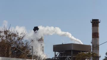 Quase todos em Portugal apoiam medidas para combater alterações climáticas