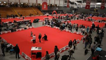 Competições de cães e gatos e espetáculos de aves conquistaram as famílias no primeiro dia da Expo Animal