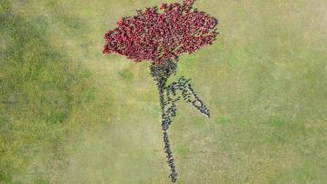 Minho celebra o 25 de Abril com marchas, música, teatro, homenagens e cerimónias oficiais